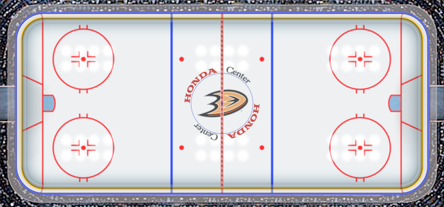 rink-anaheim-ducks