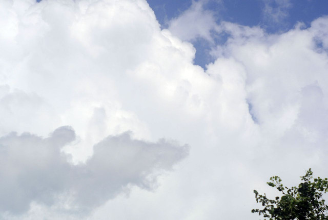 DSC5431-result.jpg