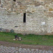 Izb-raz-09-2