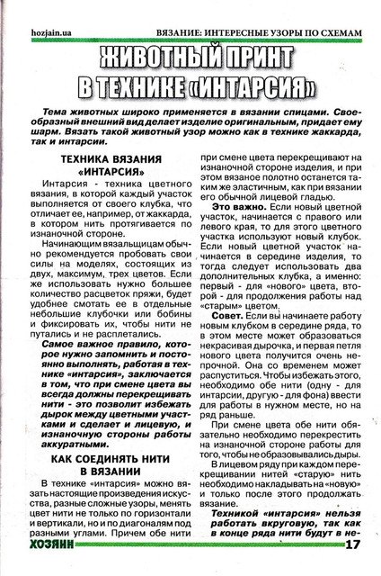 17.jpg