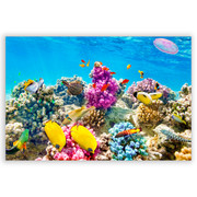 701521-Fundo-do-Mar