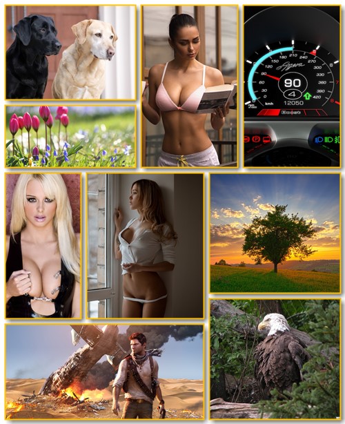 Best Mix Wallpapers 306