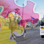 DSC4649