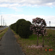 2008-12-06-067