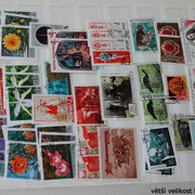 IMG-3032