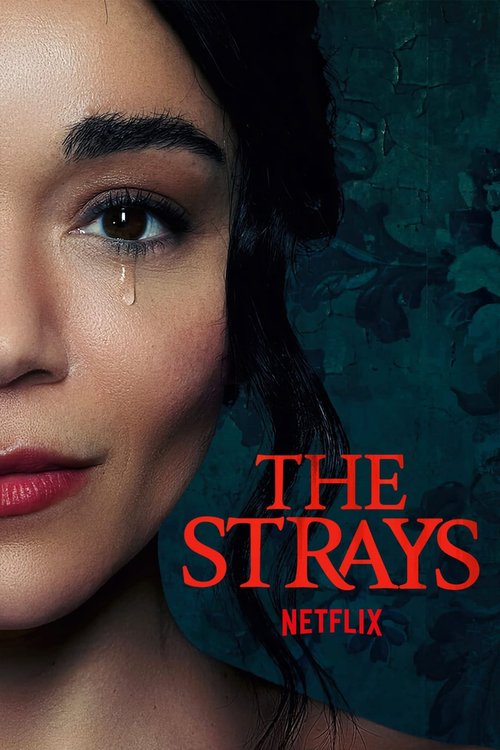 Przybłedy / The Strays (2023) 1080p.WEB-DL.H264.AC3.2.0.BP007 | Lektor PL
