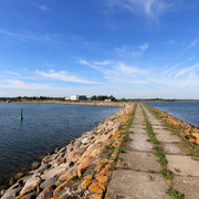 IMG-1488