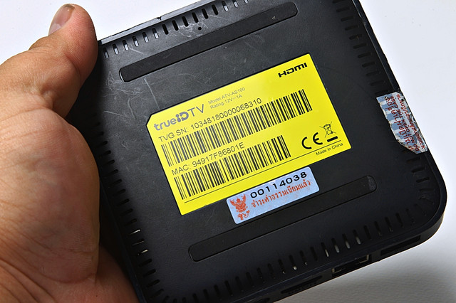 batch-DEEN8884