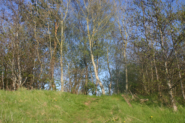 IMG-0340