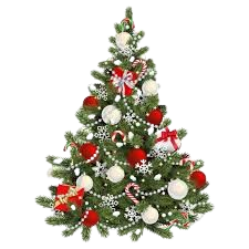 tree-removebg-preview.png