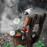 8.gif