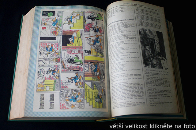 IMG-2442.jpg