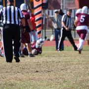 IMG-3319