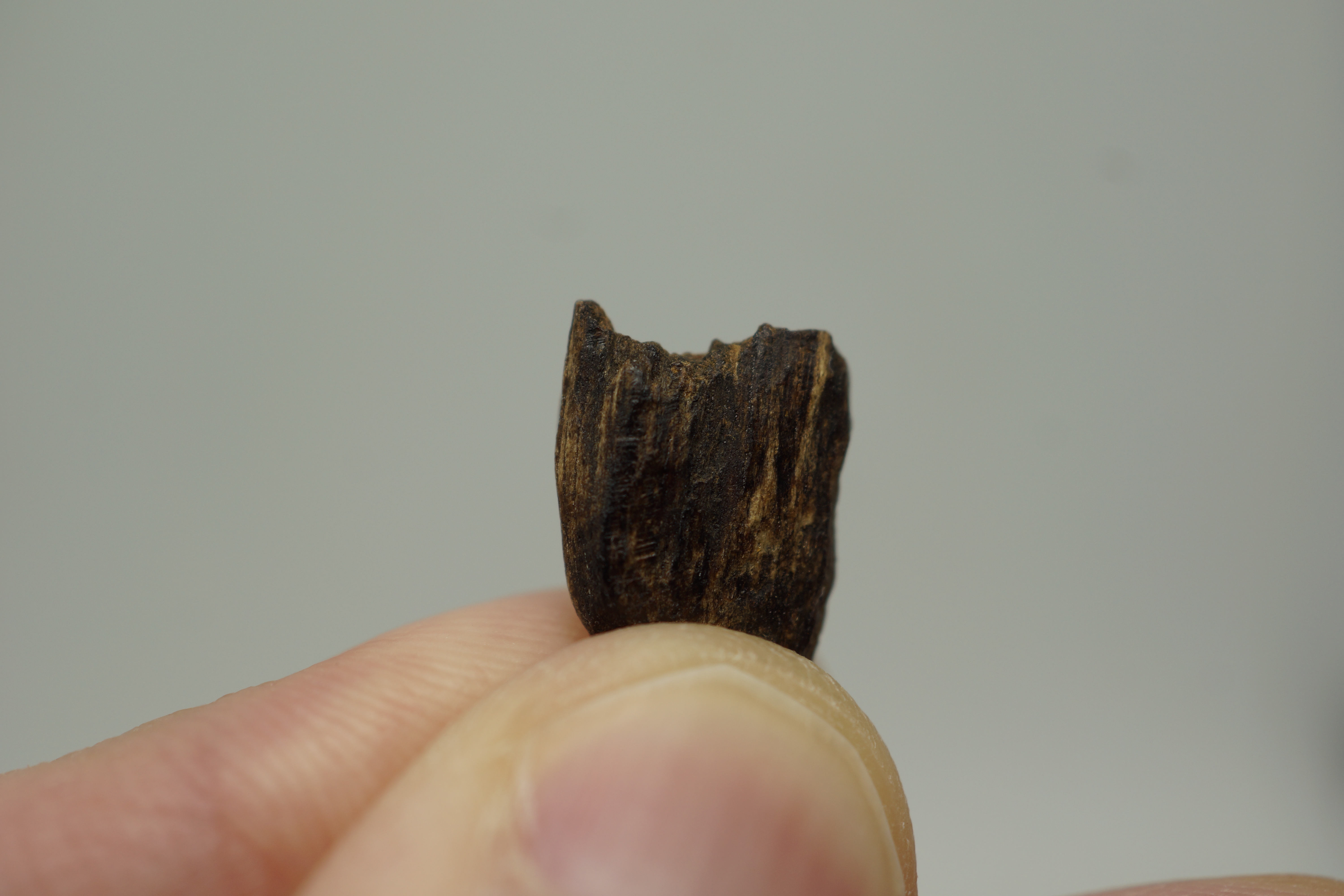 [Ouddict.com] Oud Photos