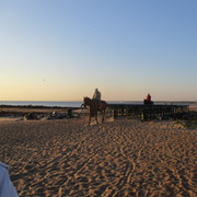 IMG-5699