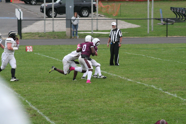 IMG-8137.jpg