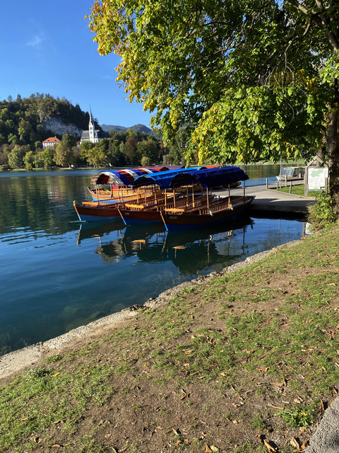IMG-3017
