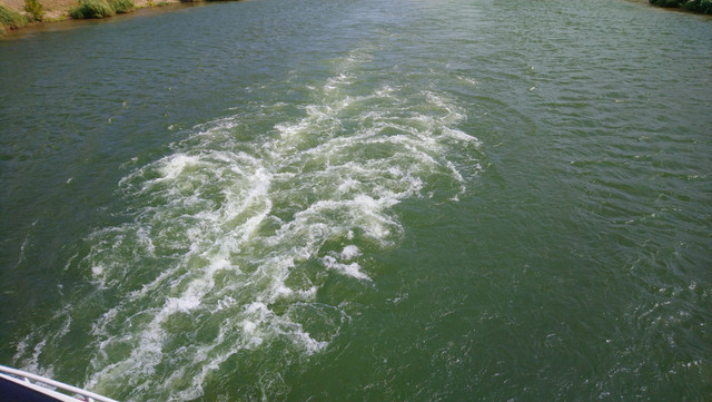 DSC-2169