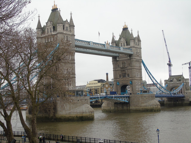 DSC03749.jpg