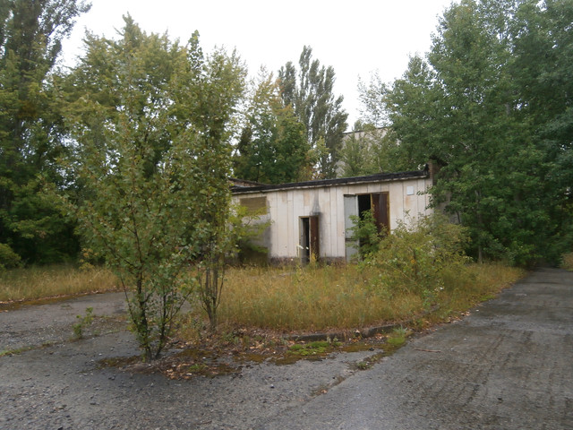 OLYMPUS-DIGITAL-CAMERA.jpg