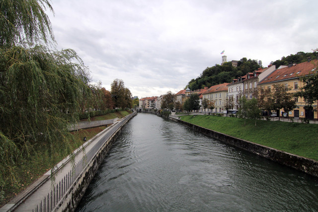 IMG-0029