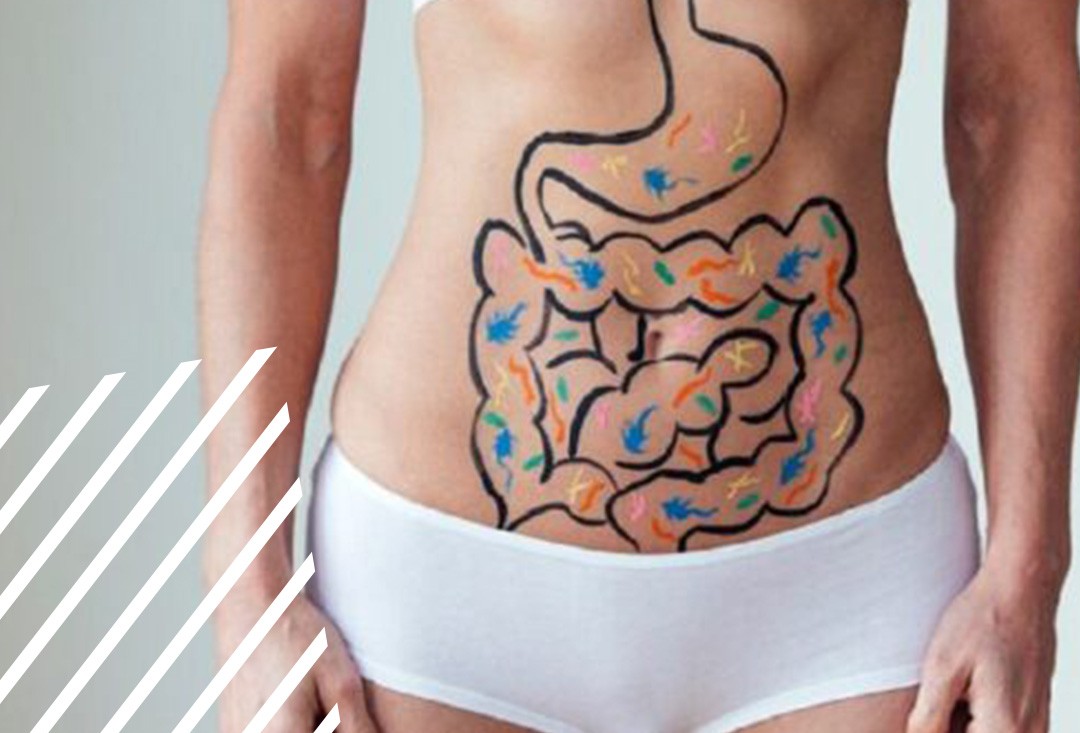 Digestive system illustration
