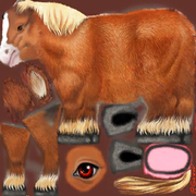 PonyShetland_Adult_F.dds