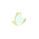 cveta-1009