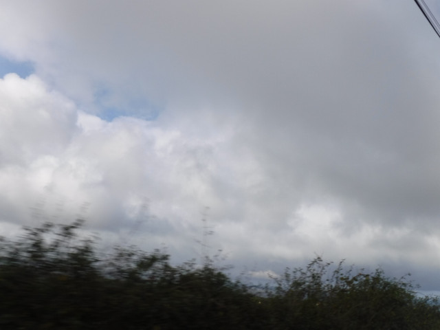 DSCF5483