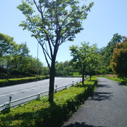 DSC-0019