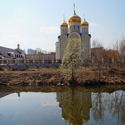 DSC03526