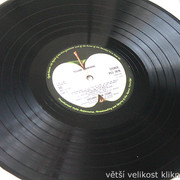 IMG-9831