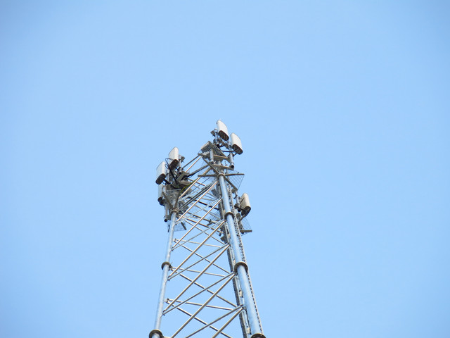 IMG-4582
