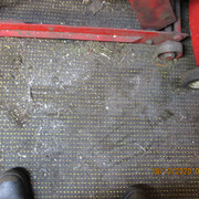 IMG-2510