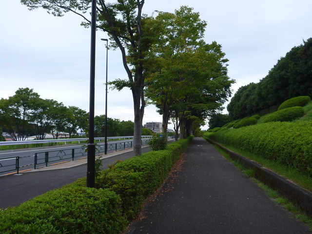 P1340920.jpg