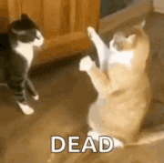 high-five-fail-youre-down