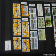 IMG-3349