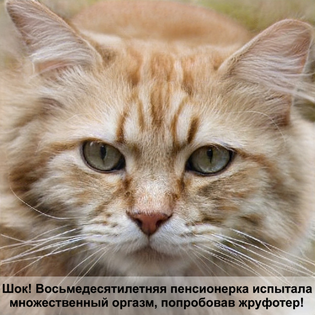 Загружено: Ирина Петрова. Россия Тверь