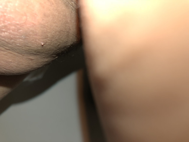 IMG 8996