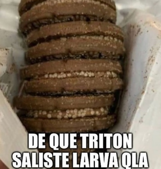 asdf.jpg