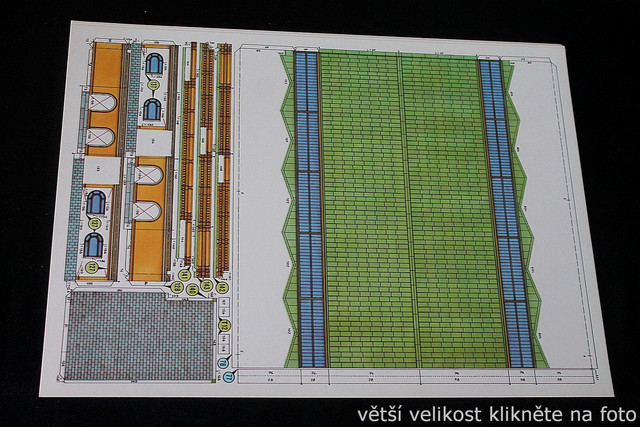 IMG-6771.jpg
