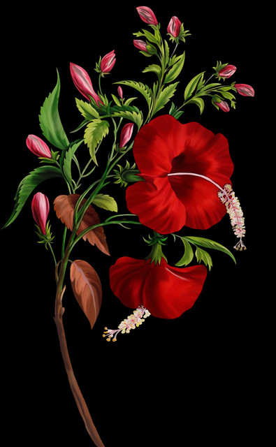 shutterstock-1406934974.jpg