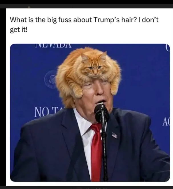 1000066993.jpg
