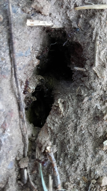 20191124-182240