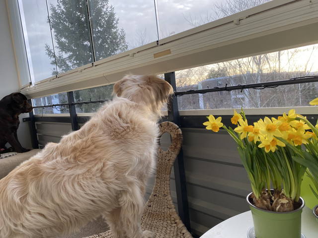 5-E03-E216-E4-DF-4075-8-A2-D-E3-D71-BC15