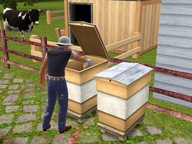 Screenshot-353