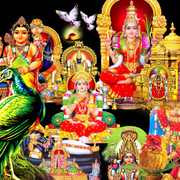 NEW KOVIL THIRUVIZHA FLEX - 5