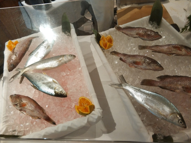 IMG-20190302-193238
