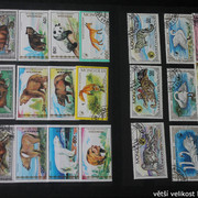 IMG-2237