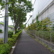 P1340907